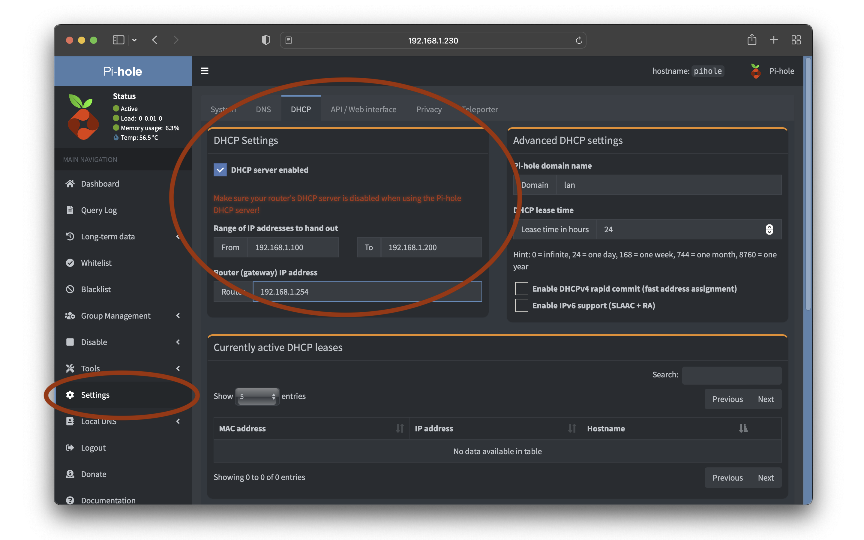 DHCP settings on the Pi-hole Settings page